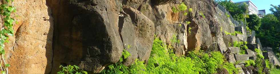 19 avril 2015 - St-Pierre - Rivire d'Abord - Blocs de la falaise