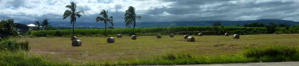 19 avril 2015 - St-Pierre - Ligne Paradis - Herbages