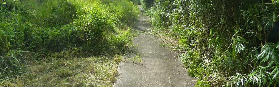 3 mai 2015 - St-Pierre - Ligne Paradis - Sentier le long de la quatre-voies - Dfrichage