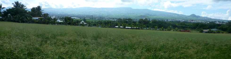 3 mai 2015 - St-Pierre - Alle Jacquot - Herbages