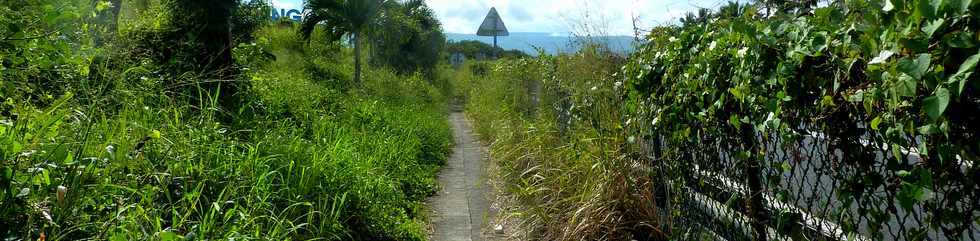 3 mai 2015 - St-Pierre - Ligne Paradis - Sentier le long de la quatre-voies - Dfrichage