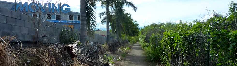 3 mai 2015 - St-Pierre - Ligne Paradis - Sentier le long de la quatre-voies - Dfrichage