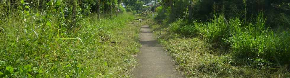 3 mai 2015 - St-Pierre - Ligne Paradis - Sentier le long de la quatre-voies - Dfrichage