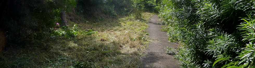 3 mai 2015 - St-Pierre - Ligne Paradis - Sentier le long de la quatre-voies - Dfrichage