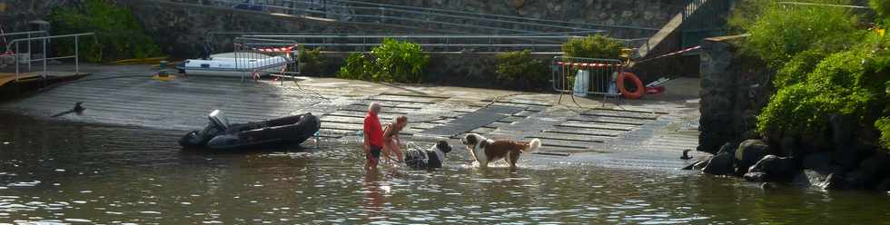 10 mai 2015 - St-Pierre - Rivire d'Abord - Chiens de sauvetage aquatique