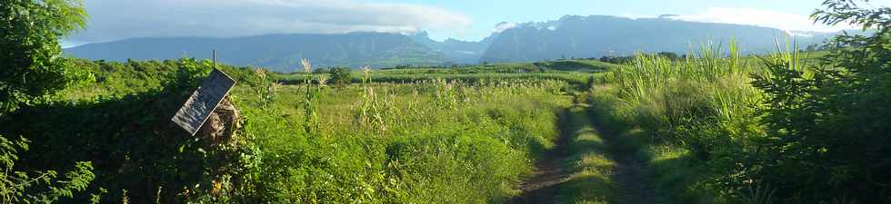 17 mai 2015 - St-Pierre - Chemin Jean Cadet