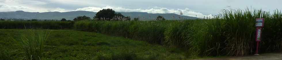 2 juin 2015 - St-Pierre - Ligne Paradis