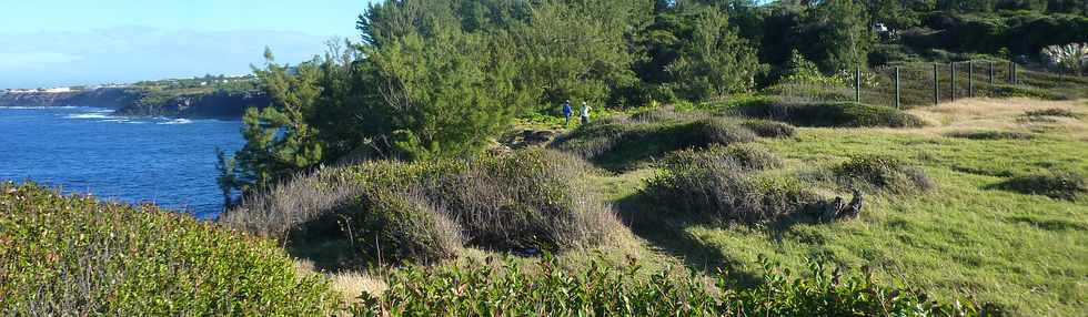 18 juin 2015- St-Pierre - Pointe de la Ravine des Cafres - Espace naturel