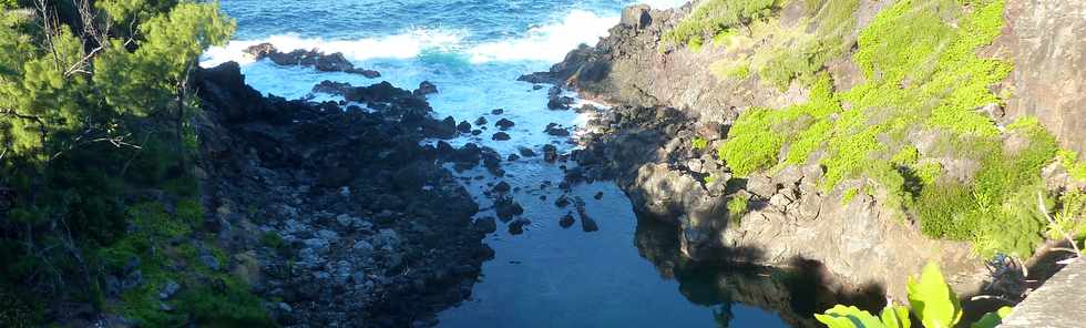 18 juin 2015- St-Pierre - Pointe de la Ravine des Cafres - Espace naturel  - Bassin Dix-huit