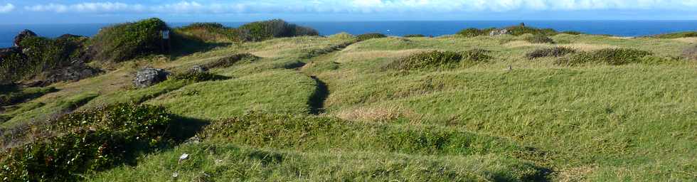 18 juin 2015- St-Pierre - Pointe de la Ravine des Cafres - Espace naturel