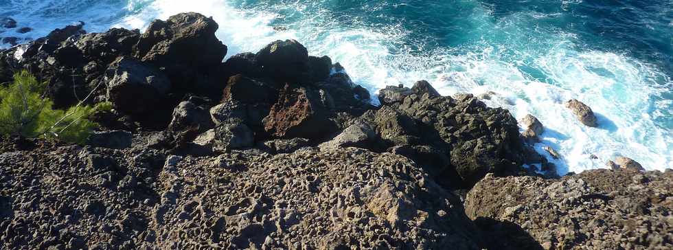 18 juin 2015- St-Pierre - Pointe de la Ravine des Cafres - Espace naturel