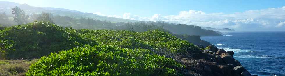 18 juin 2015- St-Pierre -  Terre Rouge - Espace naturel