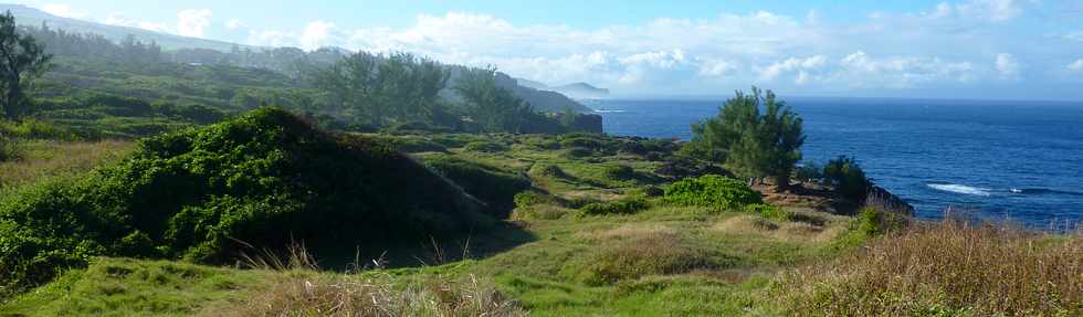 18 juin 2015- St-Pierre -  Terre Rouge - Espace naturel