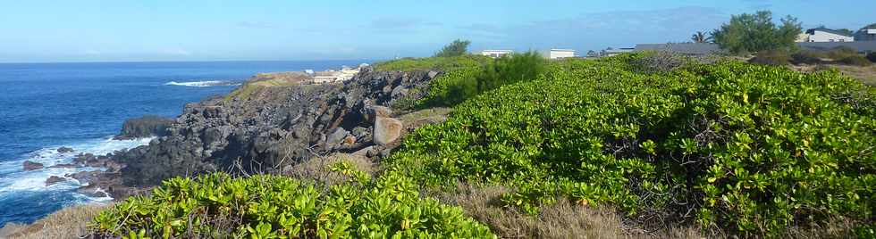 18 juin 2015- St-Pierre -  Terre Rouge - Espace naturel