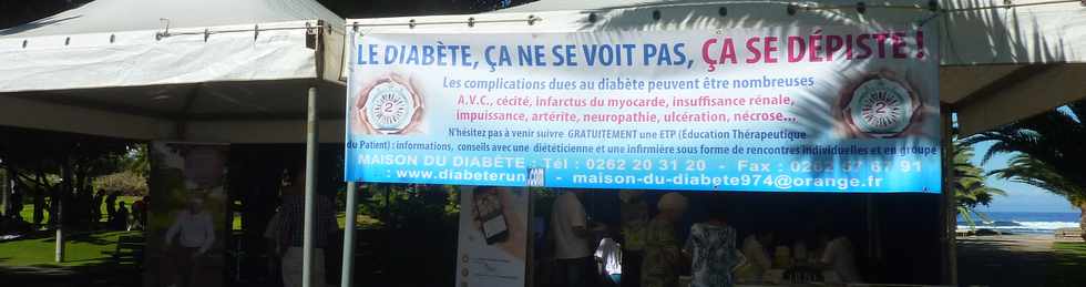 18 juin 2015 - St-Pierre - Jardins de la plage - Maison du diabte