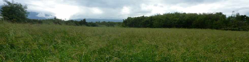 28 juin 2015 - St-Pierre - Pierrefonds - Herbages