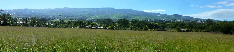 10 juillet 2015 - St-Pierre - Alle Jacquot - Herbages