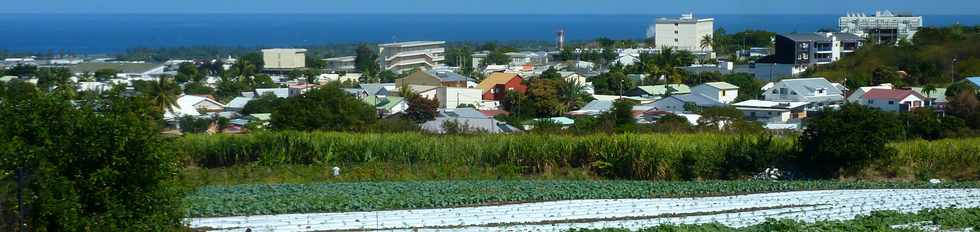 31 juillet 2015 - St-Louis - Vue sur Roches Maigres - LEP - collge et lyce Roussin