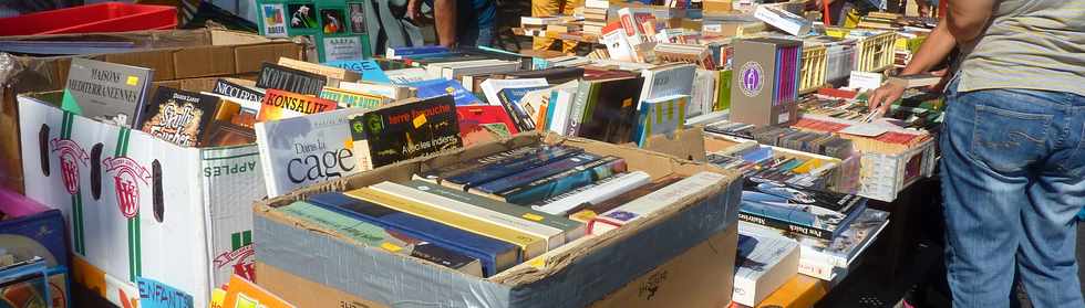 11 octobre 2015 - St-Pierre - Bd Hubert-Delisle - Athna 2015 - Brocante de livres -