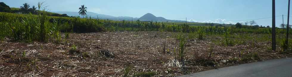 18 octobre 2015 - St-Pierre - Chemin de Bassin Plat - Piton Mont Vert