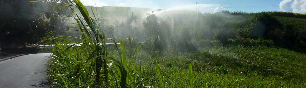 21 octobre 2015 - St-Pierre - Chemin de Bassin Plat - Irrigation