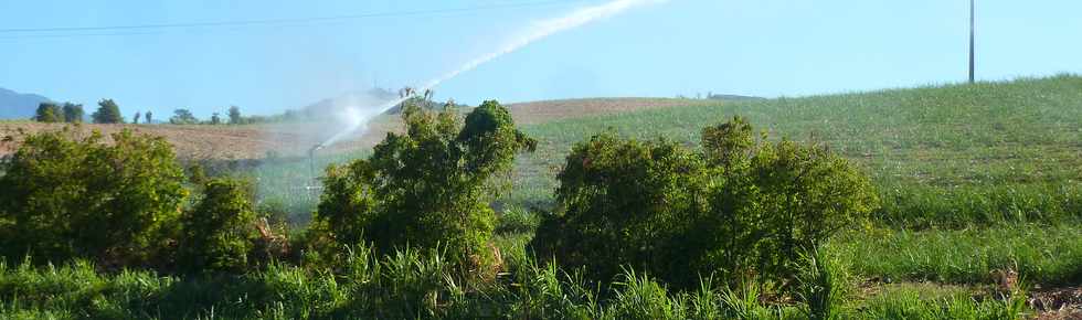 21 octobre 2015 - St-Pierre - Chemin de Bassin Plat - Irrigation