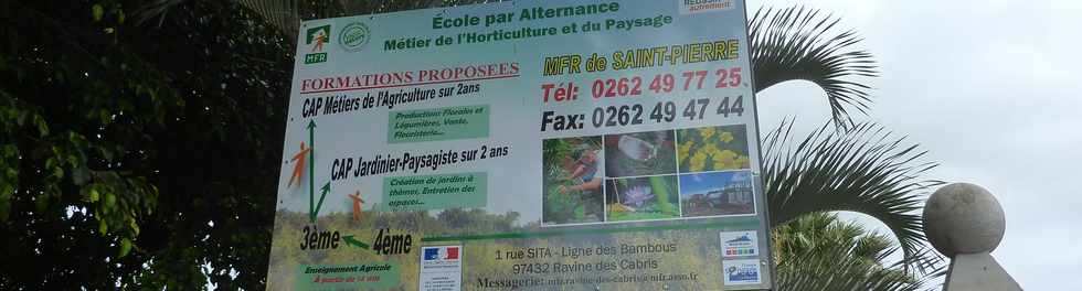 6 novembre 2015 - St-Pierre - Ligne des Bambous - MFR - Vide jardin