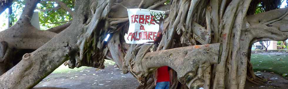 8 novembre 2015 - St-Pierre - Front de mer - Alternatiba pi - Village des alternatives  -