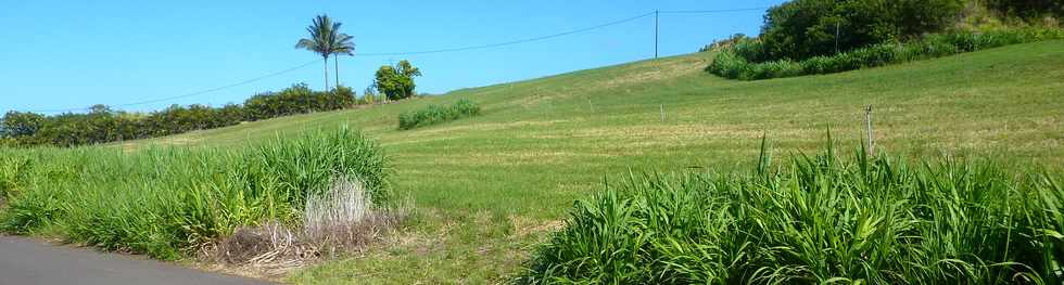 11 novembre 2015 - St-Pierre - Grands Bois les hauts  - Herbages