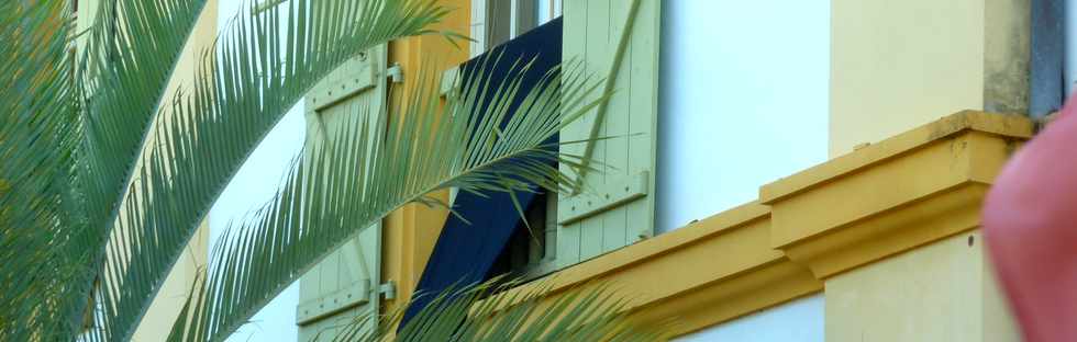 15 novembre 2015 - St-Pierre - Crpe noir au balcon de la mairie