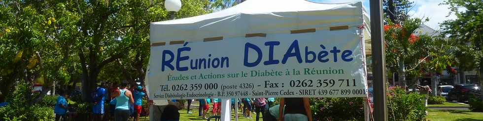 1er dcembre 2015 - St-Pierre - Jardins htel de ville - Runion Diabte