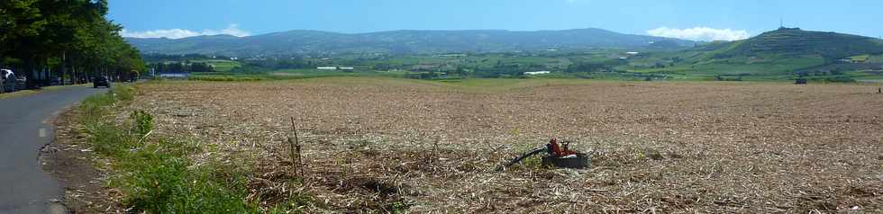 4 dcembre 2015 - St-Pierre - Voie cannire vers la Ligne des Bambous