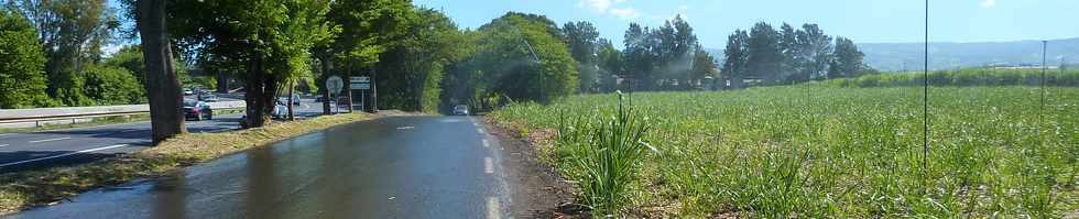 4 dcembre 2015 - St-Pierre - Voie cannire vers la Ligne des Bambous