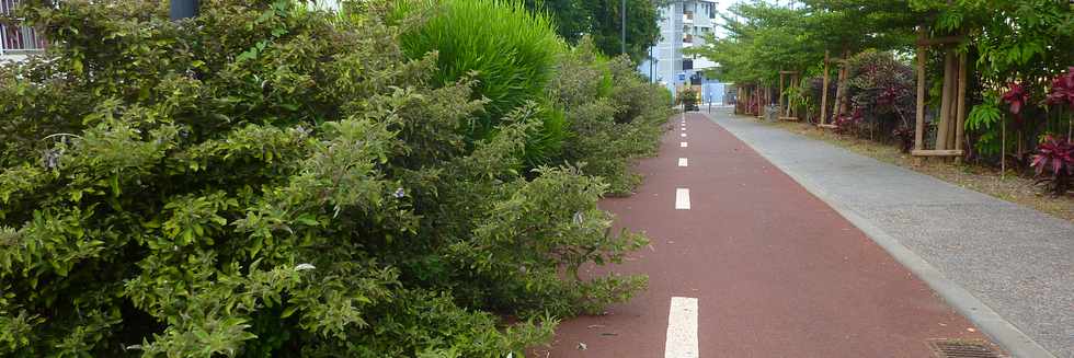 11 dcembre 2015 - St-Pierre - Ravine Blanche - Pistre cyclable