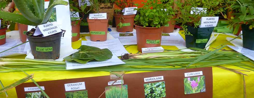 17 janvier 2016 - St-Pierre - Nout karti an ft - Stands associations - GEPPH Grands Bois