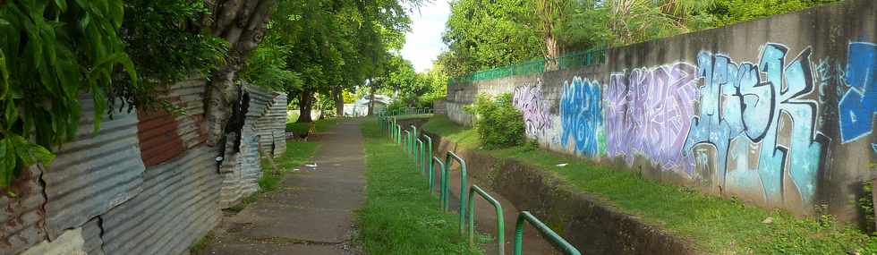 31 janvier 2016 - St-Pierre - Canal Saint-Etienne  Basse Terre