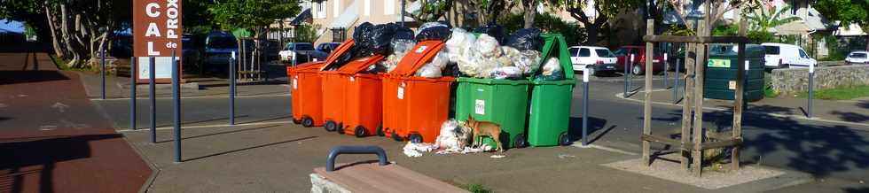 6 mars 2016 - St-Pierre - Poubelles rue Luthuli