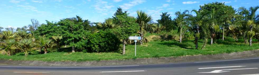 20 mars 2016 - St-Pierre - Ligne des Bambous -