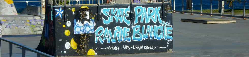 25 mai 2016 - St-Pierre - Ravine Blanche - Skate Park