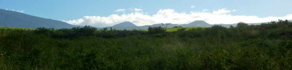 1er juin 2016 - St-Pierre - Chemin Diagonal