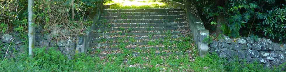 1er juin 2016 - St-Pierre - Ravine des Cabris - Escalier ancienne maison Lenormand