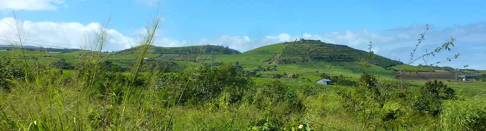 1er juin 2016 - St-Pierre - Ligne des Bambous - Pitons de Bassin Martin