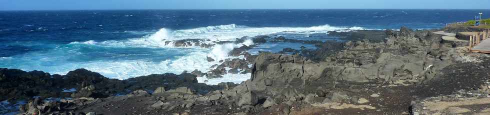 3 juin 2016 - St-Pierre - Terre Sainte - Pointe du Parc