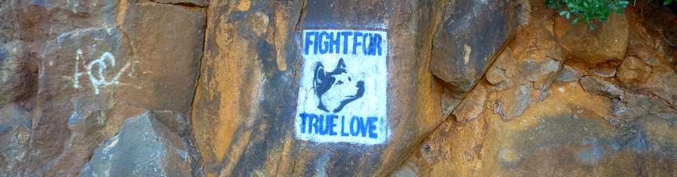 5 juin 2016 - St-Pierre - Graf Fight for true love