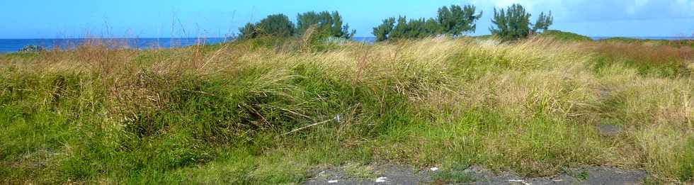 5 juin 2016 - St-Pierre - Pointe du Diable - Saline Balance - Ancien site de la balance  cannes