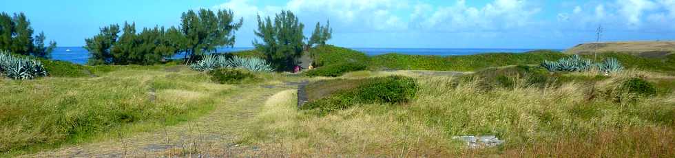 5 juin 2016 - St-Pierre - Pointe du Diable - Saline Balance - Ancien site de la balance  cannes