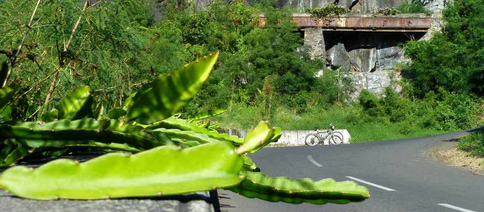 10 juin 2016 - St-Pierre - Rivire St-Louis - Ouaki - Canal des Alos