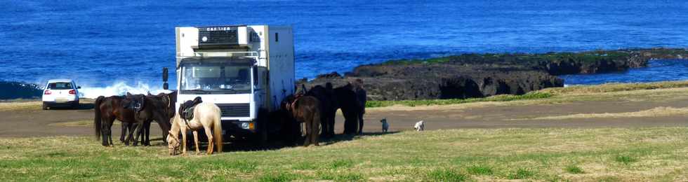 12 juin 2016 - St-Pierre - Pointe du Diable - Randonne  cheval - Ecurie du Relais