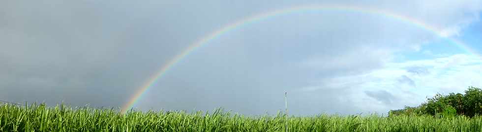 15 juin 2016 - St-Pierre - Arc-en-ciel au-dessus de la Ligne Paradis