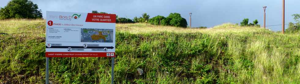 15 juin 2016 - St-Pierre - Chantier parc urbain Bois d'O - ANRU